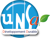 Logo UNSA-DS